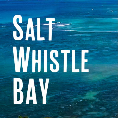 Salt Whistle Bay